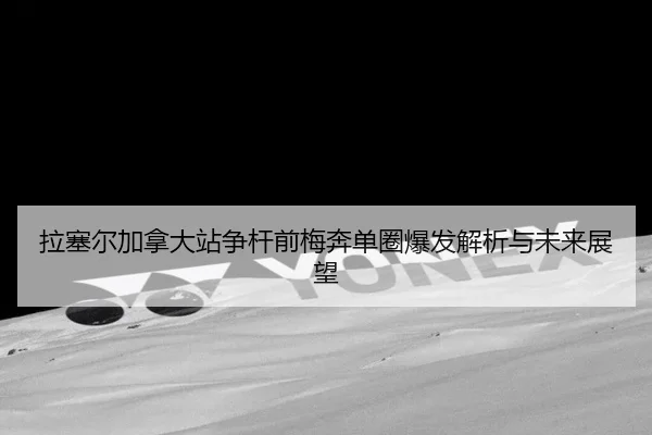 la-sai-er-jia-na-da-zhan-zheng-gan-qian-mei-ben-dan-quan-bao-fa-jie-xi-yu-wei-lai-zhan-wang-2-502.jpg